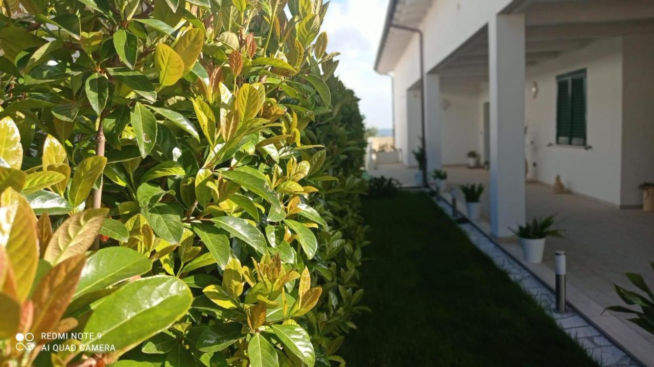 Matera Nel Verde מראה חיצוני תמונה